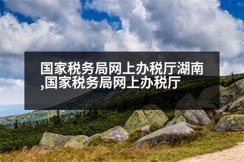 國家稅務(wù)局網(wǎng)上辦稅廳湖南,國家稅務(wù)局網(wǎng)上辦稅廳