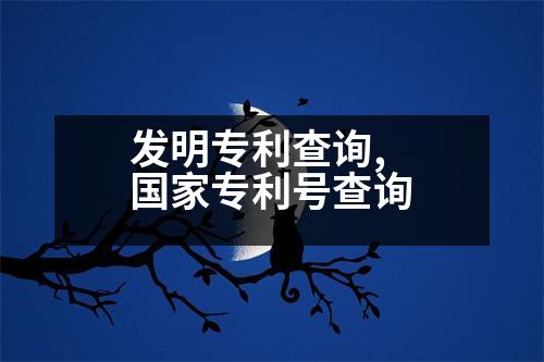 發(fā)明專利查詢,國家專利號查詢