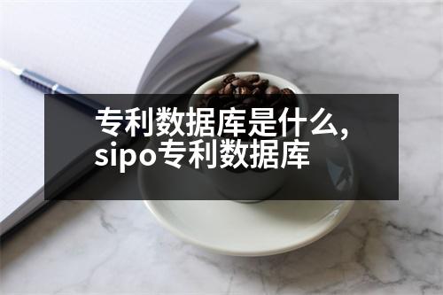 專利數(shù)據(jù)庫(kù)是什么,sipo專利數(shù)據(jù)庫(kù)