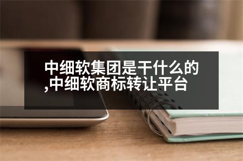 中細軟集團是干什么的,中細軟商標轉(zhuǎn)讓平臺