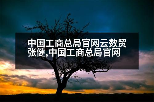 中國工商總局官網(wǎng)云數(shù)貿(mào)張健,中國工商總局官網(wǎng)