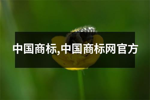 中國(guó)商標(biāo),中國(guó)商標(biāo)網(wǎng)官方