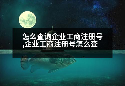 怎么查詢企業(yè)工商注冊號,企業(yè)工商注冊號怎么查