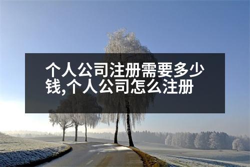 個(gè)人公司注冊(cè)需要多少錢,個(gè)人公司怎么注冊(cè)