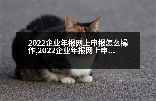 2022企業(yè)年報(bào)網(wǎng)上申報(bào)怎么操作,2022企業(yè)年報(bào)網(wǎng)上申報(bào)