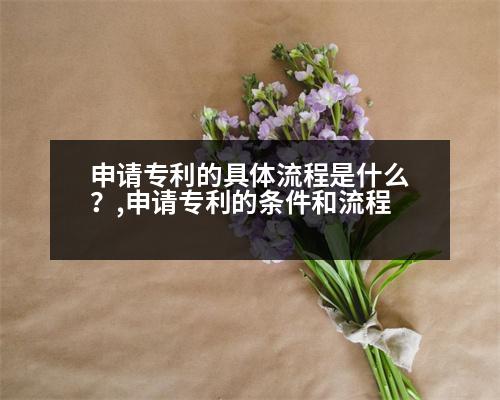 申請專利的具體流程是什么？,申請專利的條件和流程