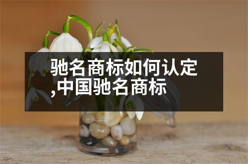 馳名商標如何認定,中國馳名商標