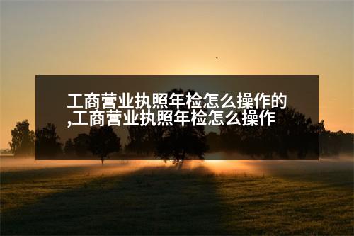 工商營(yíng)業(yè)執(zhí)照年檢怎么操作的,工商營(yíng)業(yè)執(zhí)照年檢怎么操作