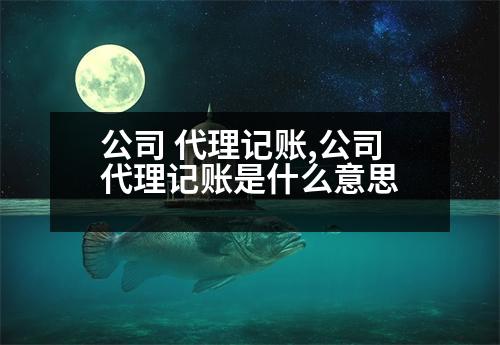 公司 代理記賬,公司代理記賬是什么意思