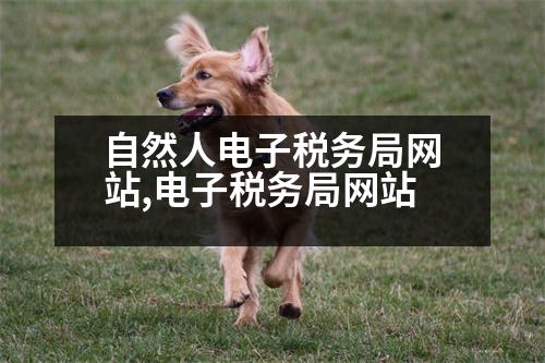 自然人電子稅務(wù)局網(wǎng)站,電子稅務(wù)局網(wǎng)站