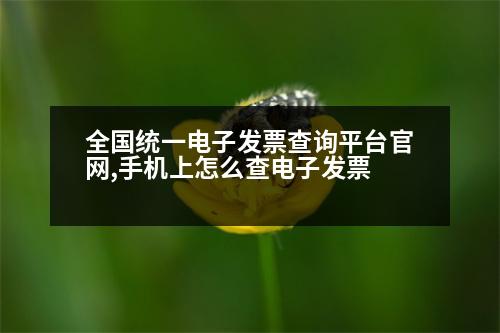 全國統(tǒng)一電子發(fā)票查詢平臺官網(wǎng),手機上怎么查電子發(fā)票