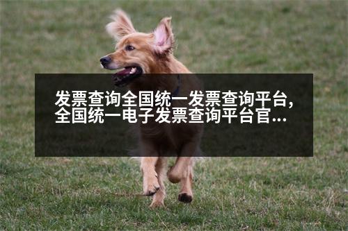 發(fā)票查詢?nèi)珖?guó)統(tǒng)一發(fā)票查詢平臺(tái),全國(guó)統(tǒng)一電子發(fā)票查詢平臺(tái)官網(wǎng)