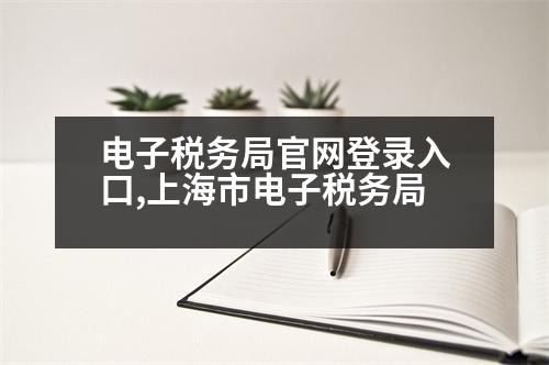 電子稅務(wù)局官網(wǎng)登錄入口,上海市電子稅務(wù)局