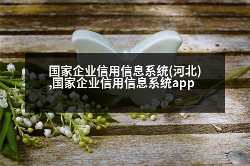 國(guó)家企業(yè)信用信息系統(tǒng)(河北),國(guó)家企業(yè)信用信息系統(tǒng)app