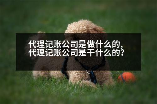 代理記賬公司是做什么的,代理記賬公司是干什么的？