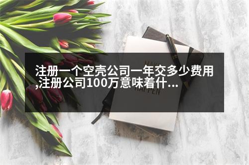 注冊一個空殼公司一年交多少費(fèi)用,注冊公司100萬意味著什么