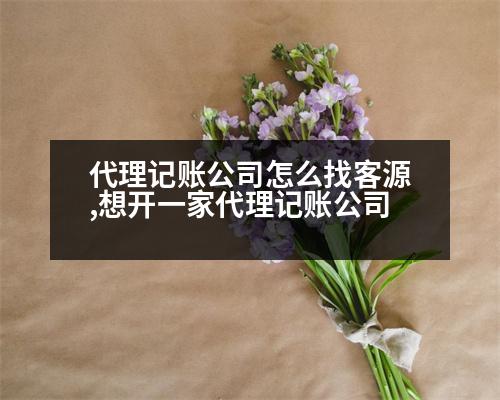 代理記賬公司怎么找客源,想開一家代理記賬公司