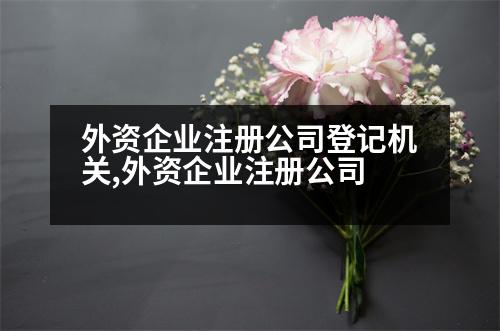 外資企業(yè)注冊公司登記機關,外資企業(yè)注冊公司