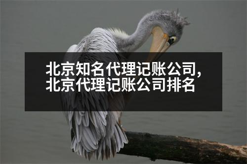 北京知名代理記賬公司,北京代理記賬公司排名