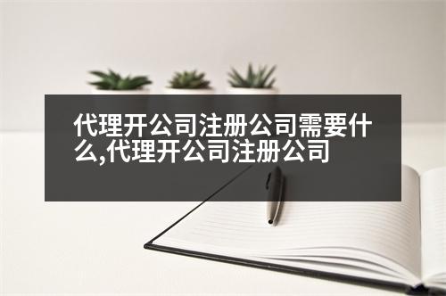 代理開公司注冊公司需要什么,代理開公司注冊公司