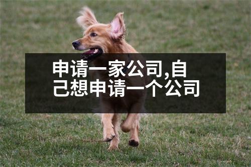 申請一家公司,自己想申請一個公司