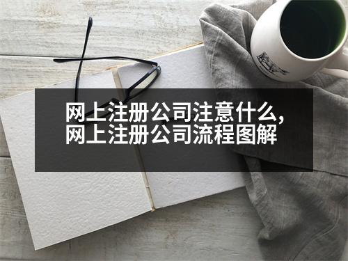 網(wǎng)上注冊公司注意什么,網(wǎng)上注冊公司流程圖解