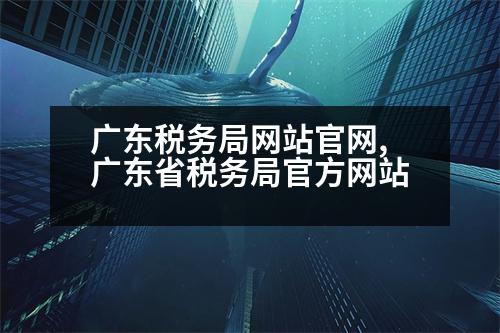 廣東稅務(wù)局網(wǎng)站官網(wǎng),廣東省稅務(wù)局官方網(wǎng)站