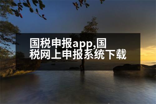 國稅申報app,國稅網(wǎng)上申報系統(tǒng)下載