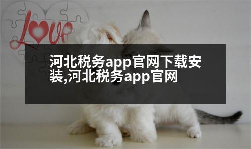 河北稅務(wù)app官網(wǎng)下載安裝,河北稅務(wù)app官網(wǎng)