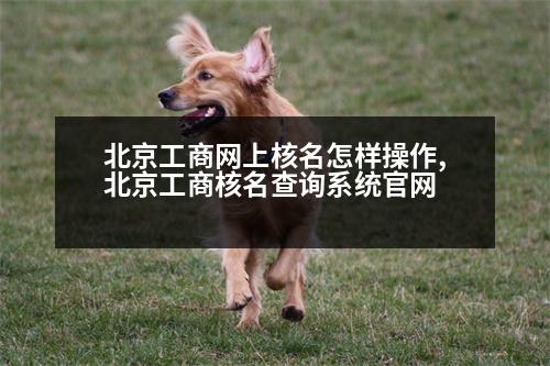 北京工商網(wǎng)上核名怎樣操作,北京工商核名查詢系統(tǒng)官網(wǎng)