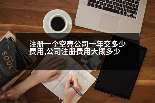 注冊一個空殼公司一年交多少費用,公司注冊費用大概多少