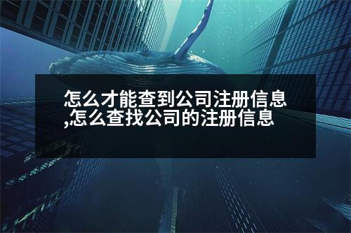 怎么才能查到公司注冊信息,怎么查找公司的注冊信息