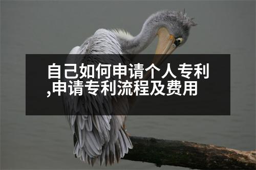 自己如何申請(qǐng)個(gè)人專(zhuān)利,申請(qǐng)專(zhuān)利流程及費(fèi)用