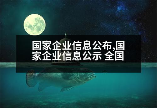 國家企業(yè)信息公布,國家企業(yè)信息公示 全國