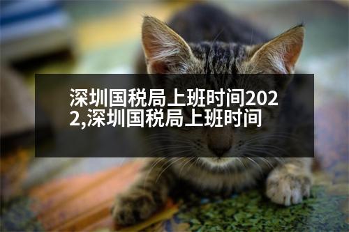 深圳國稅局上班時間2022,深圳國稅局上班時間