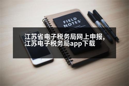 江蘇省電子稅務(wù)局網(wǎng)上申報,江蘇電子稅務(wù)局app下載