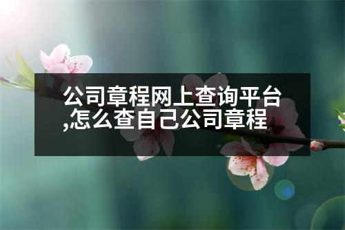 公司章程網(wǎng)上查詢平臺,怎么查自己公司章程