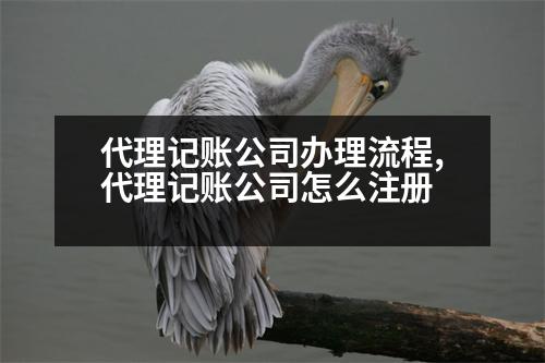 代理記賬公司辦理流程,代理記賬公司怎么注冊