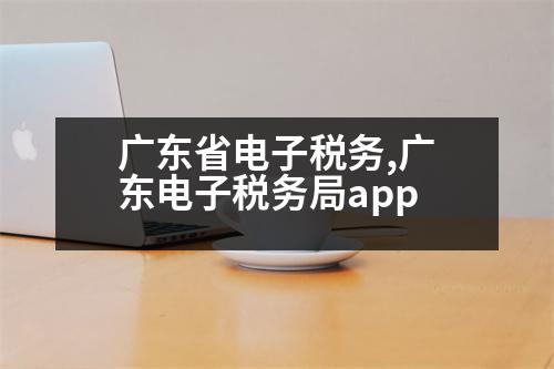 廣東省電子稅務,廣東電子稅務局app