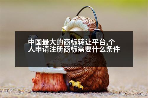 中國(guó)最大的商標(biāo)轉(zhuǎn)讓平臺(tái),個(gè)人申請(qǐng)注冊(cè)商標(biāo)需要什么條件