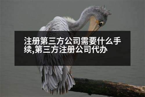 注冊(cè)第三方公司需要什么手續(xù),第三方注冊(cè)公司代辦