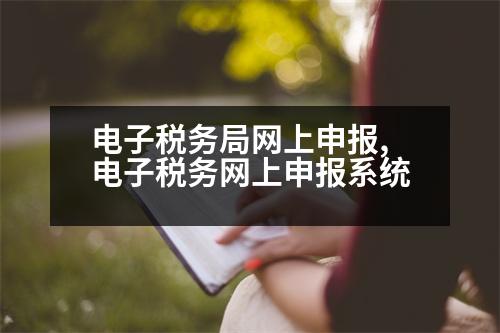 電子稅務(wù)局網(wǎng)上申報,電子稅務(wù)網(wǎng)上申報系統(tǒng)