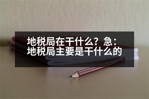 地稅局在干什么？急：地稅局主要是干什么的