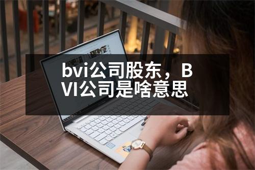 bvi公司股東，BVI公司是啥意思