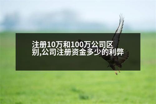 注冊10萬和100萬公司區(qū)別,公司注冊資金多少的利弊