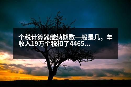 個(gè)稅計(jì)算器繳納期數(shù)一般是幾，年收入19萬(wàn)個(gè)稅扣了4465能退多少稅