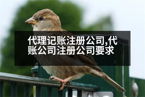 代理記賬注冊(cè)公司,代賬公司注冊(cè)公司要求