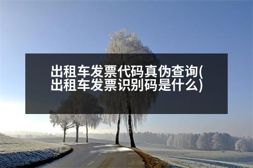 出租車(chē)發(fā)票代碼真?zhèn)尾樵?出租車(chē)發(fā)票識(shí)別碼是什么)