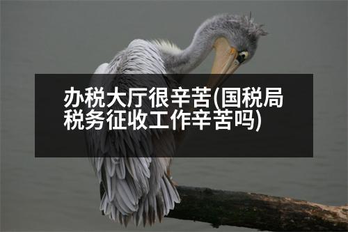 辦稅大廳很辛苦(國稅局稅務(wù)征收工作辛苦嗎)