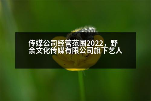 傳媒公司經(jīng)營范圍2022，野余文化傳媒有限公司旗下藝人